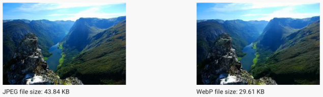 Visually identical images in JPEG and WebP format with their respective sizes. 